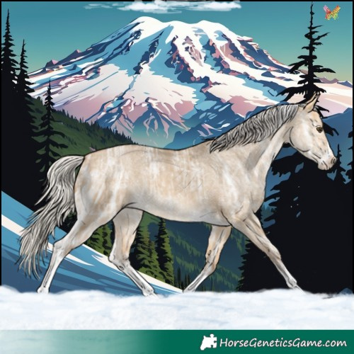 Horse Color:Silver Buckskin Ice Dun Sabino Tobiano 
