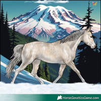 Horse Color:Silver Buckskin Ice Dun Sabino Tobiano 