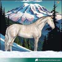 Horse Color:Silver Buckskin Ice Dun Sabino Tobiano 