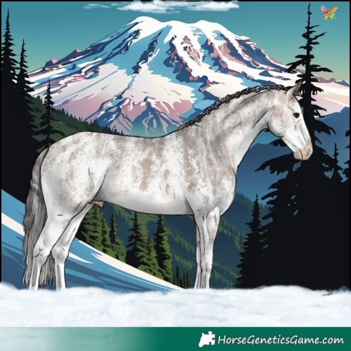 Horse Color:Bay Ice Dun Sabino Splash 