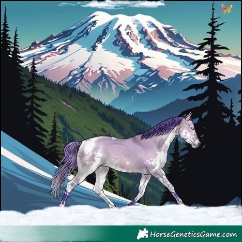 Horse Color:Watercolor Bay Dun Splash Tobiano  and Watercolor Bay Dun Splash Tobiano 