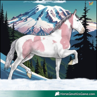 Horse Color:Watercolor Silver Amber Champagne Splash Tobiano 