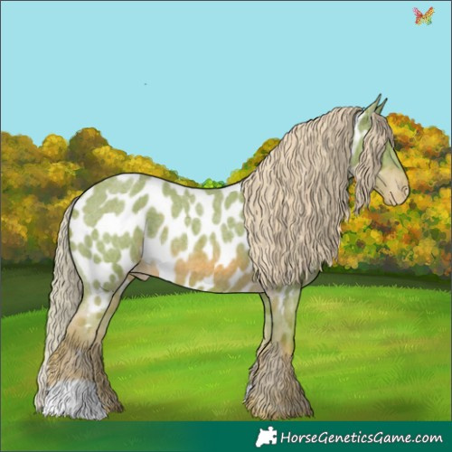 Horse Color:Watercolor Red Roan Appaloosa 