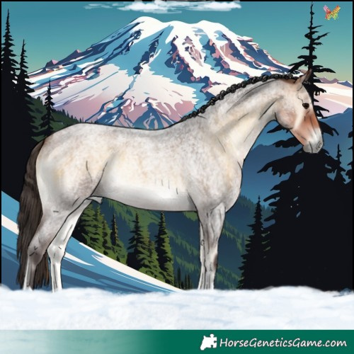 Horse Color:Buckskin Roan Onyx Tobiano 