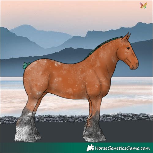 Horse Color:Painted Bay Tobiano 