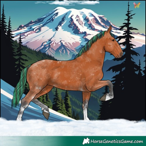 Horse Color:Painted Bay Tobiano 