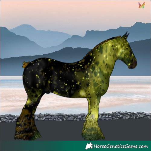 Horse Color:ERROR: UNKNOWN ANOMALY
