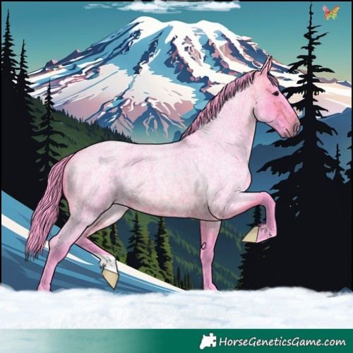Horse Color:Watercolor Bay Roan