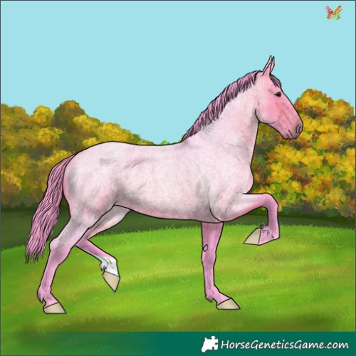 Horse Color:Watercolor Bay Roan