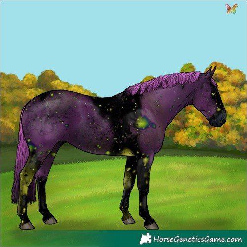 Horse Color:ERROR: UNKNOWN ANOMALY