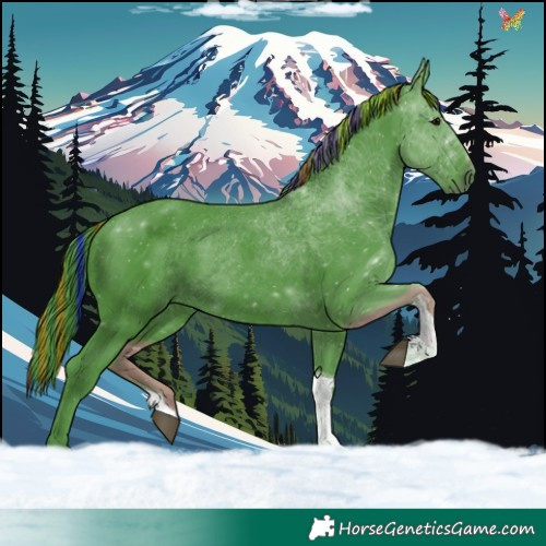 Horse Color:Painted Watercolor Black Tobiano 