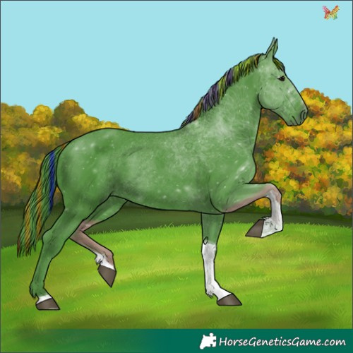 Horse Color:Painted Watercolor Black Tobiano 