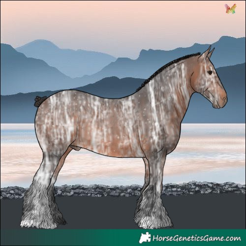 Horse Color:Brown Ice 