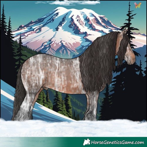 Horse Color:Brown Ice 