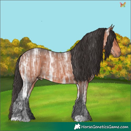 Horse Color:Brown Ice 