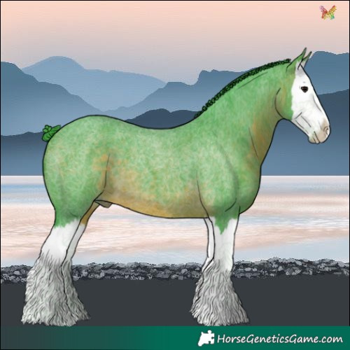 Horse Color:Watercolor Brown Roan Splash 