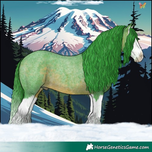 Horse Color:Watercolor Brown Roan Splash 