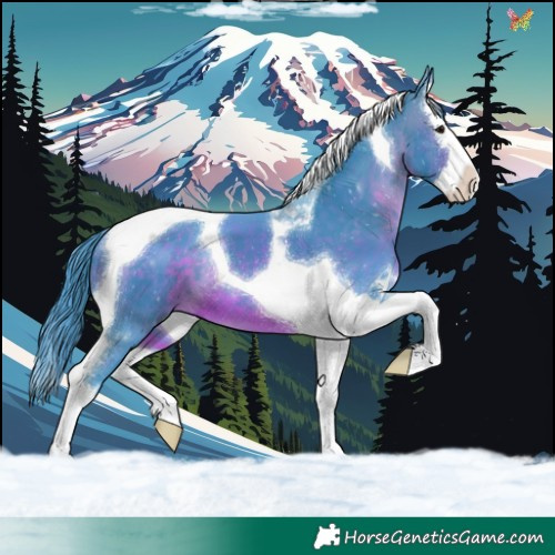 Horse Color:Watercolor Brown Splash Tobiano