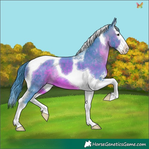 Horse Color:Watercolor Brown Splash Tobiano