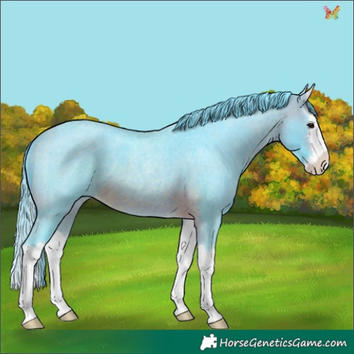 Horse Color:Watercolor Brown Roan Splash 