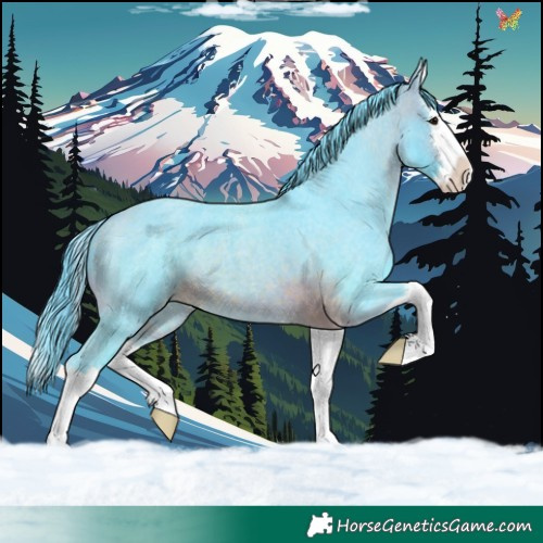 Horse Color:Watercolor Brown Roan Splash