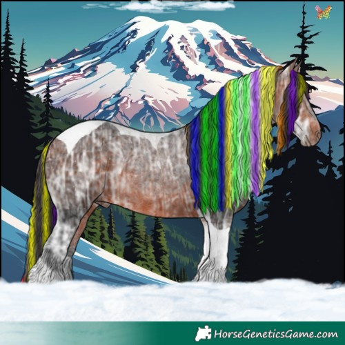 Horse Color:Painted Bay Ice Tobiano 