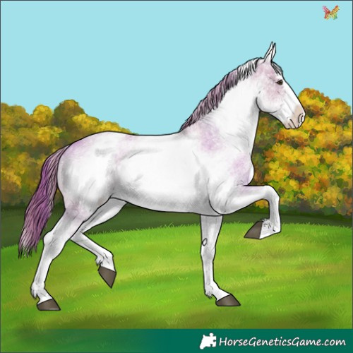 Horse Color:Watercolor White Spotted Red Dun Roan Splash 
