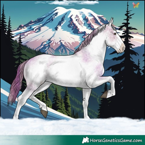 Horse Color:Watercolor White Spotted Red Dun Roan Splash 