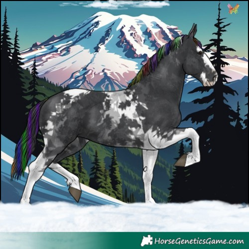 Horse Color:Painted Black Splash Tobiano