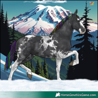 Horse Color:Painted Black Splash Tobiano 