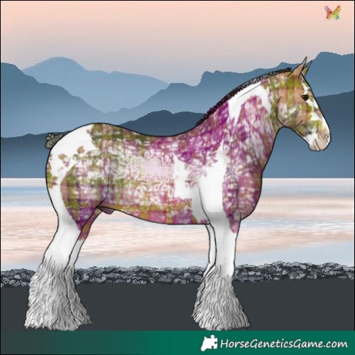 Horse Color:Plaid  Bay Ice Splash Tobiano 