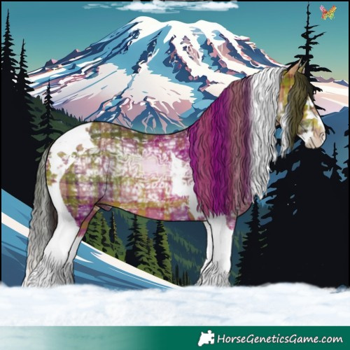 Horse Color:Plaid  Bay Ice Splash Tobiano 