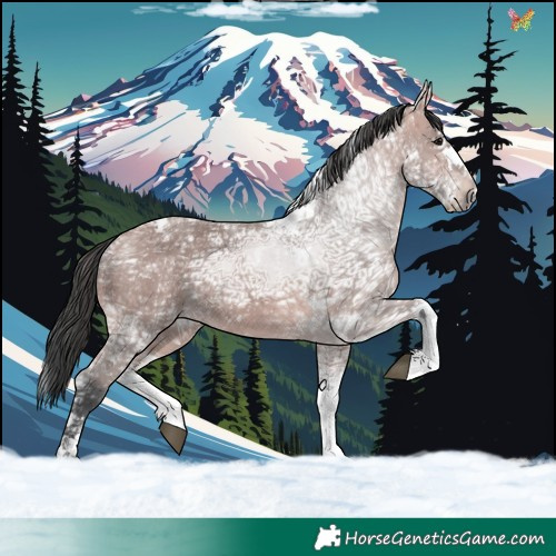 Horse Color:Platinum Bay Ice Splash Tobiano 