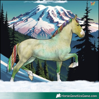 Horse Color:Painted Watercolor Silver Bay Roan 