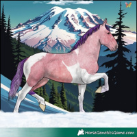 Horse Color:Watercolor Bay Roan Tobiano 