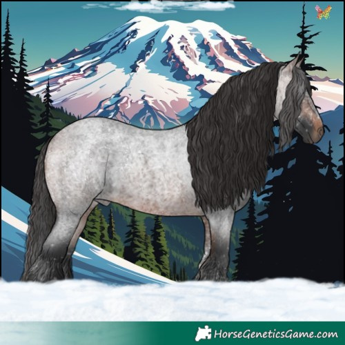 Horse Color:Brown Roan 