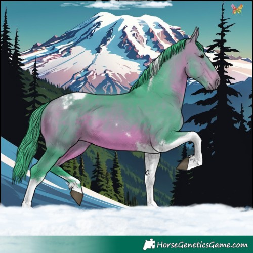 Horse Color:Watercolor Bay Tobiano 