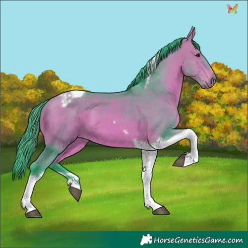 Horse Color:Watercolor Bay Tobiano 