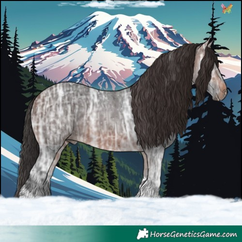 Horse Color:Brown Ice Tobiano 