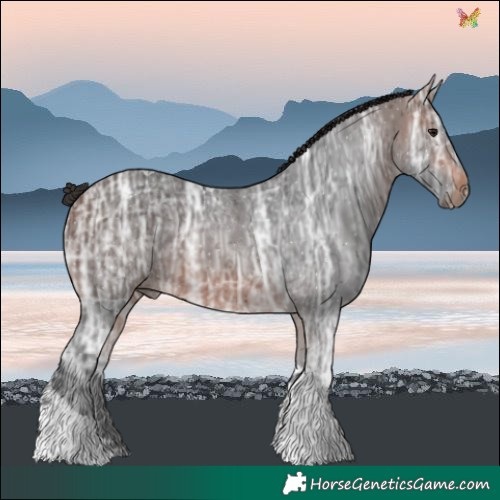 Horse Color:Brown Ice Tobiano 