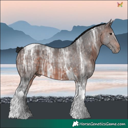 Horse Color:Brown Ice Tobiano 