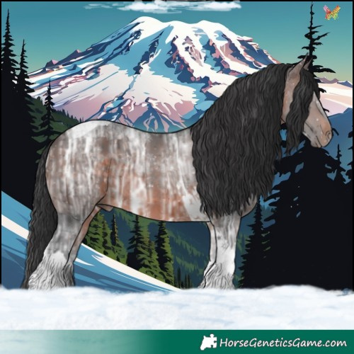 Horse Color:Brown Ice Tobiano 