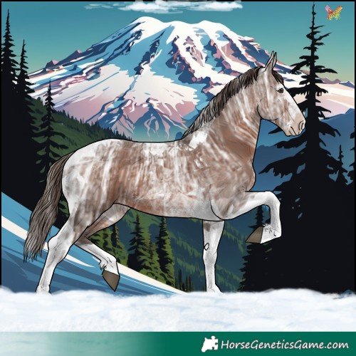 Horse Color:Liver Chestnut Ice Splash Tobiano 