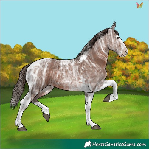 Horse Color:Liver Chestnut Ice Splash Tobiano 