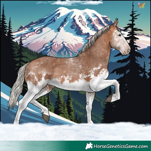 Horse Color:White Spotted Silver Brown 