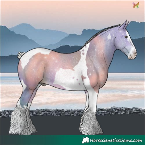 Horse Color:Watercolor Silver Bay Splash Tobiano 