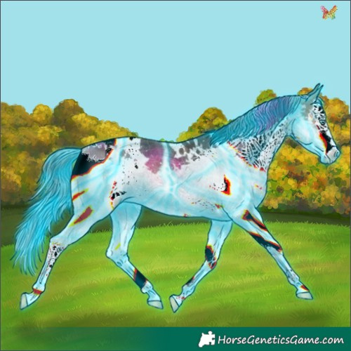 Horse Color:Thunderstruck White Spotted Bay Splash Tobiano