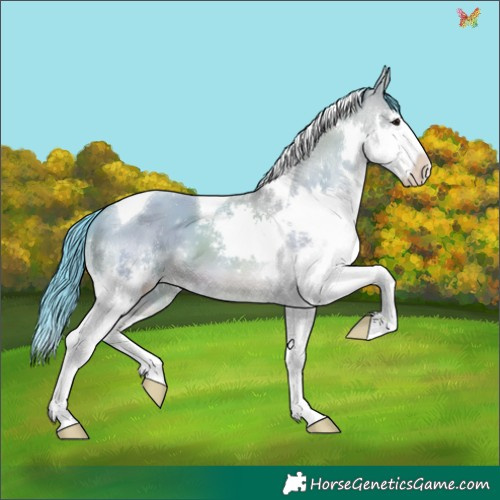 Horse Color:Watercolor Bay Splash Tobiano