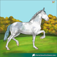 Horse Color:Watercolor Bay Splash Tobiano 