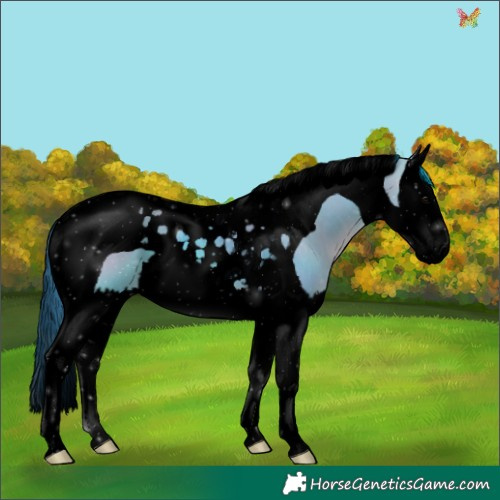 Horse Color:Void Watercolor Brown Dun Splash Tobiano